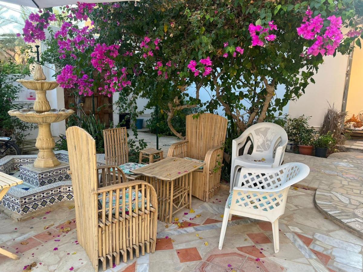 Suite Moonlight Zone Touristique 托泽尔 外观 照片